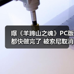 曝《羊蹄山之魂》PC版都快做完了 被索尼取消(图3) 曝《羊蹄山之魂》PC版都快做完了 被索尼取消(图3)