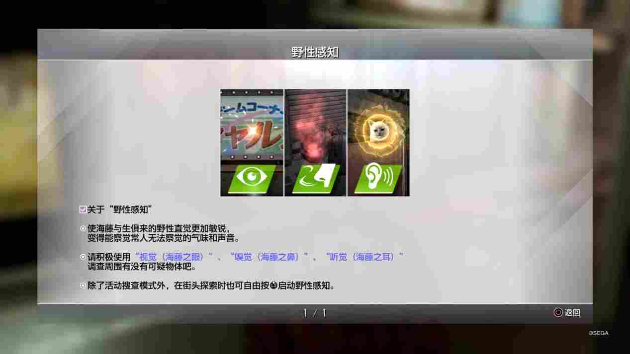 《审判之逝：湮灭的记忆》海藤正治事件簿评测：人赠外号小桐生